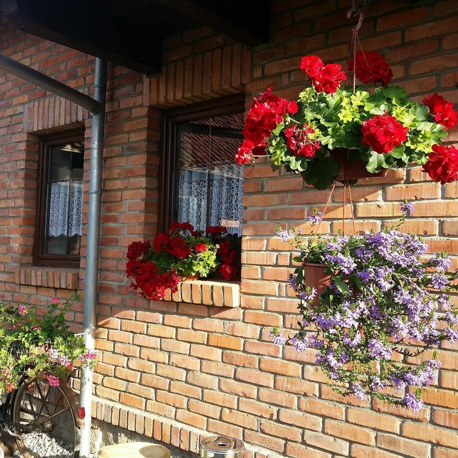 Gosciniec Galkowo Konuk evi Dış mekan fotoğraf